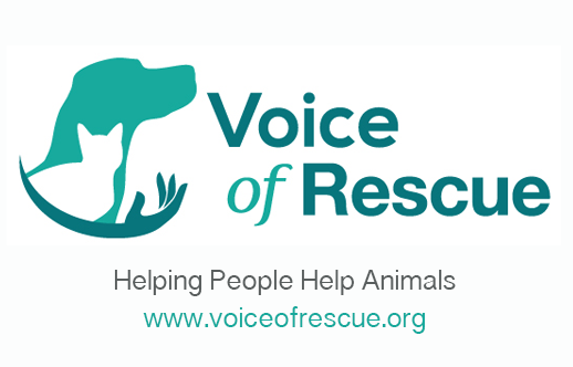 Voice of Rescue